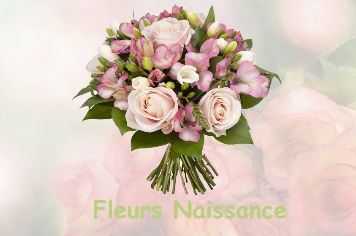 fleurs naissance SAINT-NIZIER-LE-BOUCHOUX
