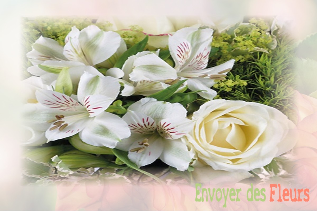 envoyer des fleurs à à SAINT-NIZIER-LE-BOUCHOUX